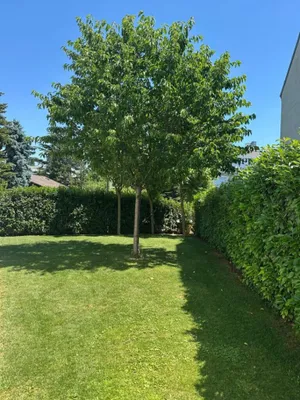 3-Zimmer-Wohnung kaufen in Wien – 72,79 m², € 700.000 – Bild 1 von 24