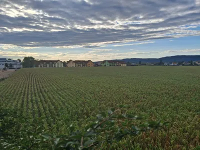 5-Zimmer-Wohnung kaufen in Braunau am Inn – 112,66 m², € 269.000 – Bild 12 von 15