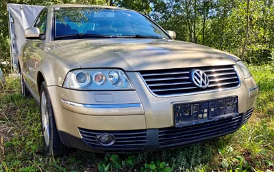 VW Passat