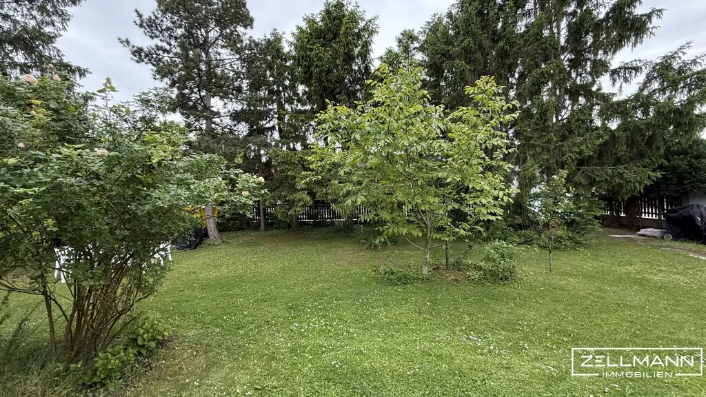 schöner Baugrund mit Potenzial in Pottendorf | ZELLMANN IMMOBILIEN - Ansicht 3