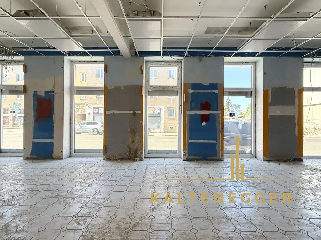 Vielseitig nutzbares Straßenlokal mit ca. 130 m² - ideal als Lager, Atelier, Hobbyraum oder Pop-up-Store - Ansicht 3