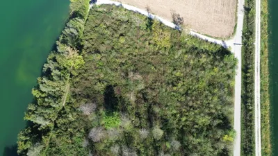 Grundstück kaufen in Linz Land – 14 763 m², € 189.700 – Bild 3 von 5