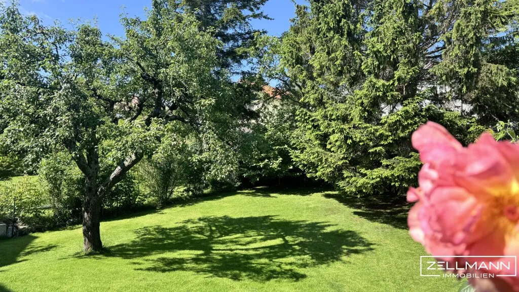 Haus – Wien - Ansicht 2