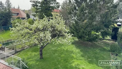 7-Zimmer-Haus mieten in Wien – 298,4 m², € 3.800 – Bild 9 von 13