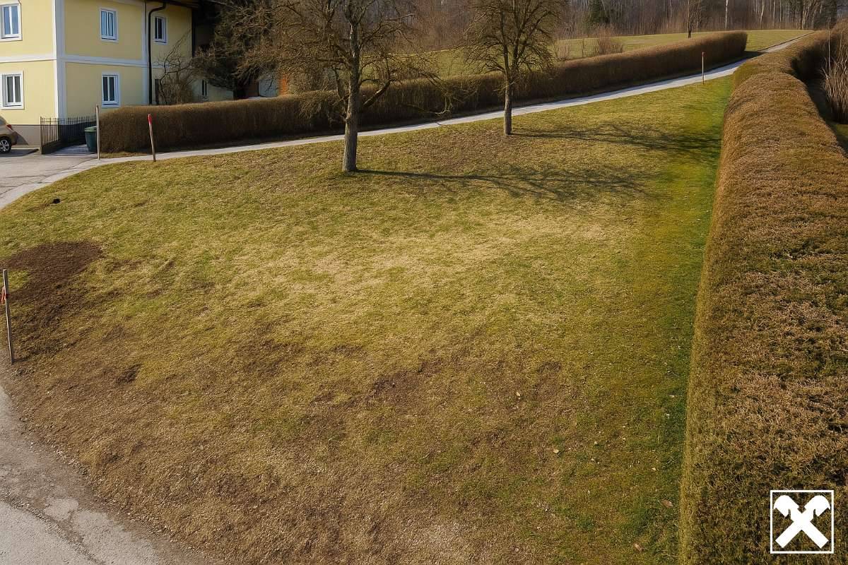 Ihr Baugrund für Ihr neues Tinyhouse - Ansicht 2