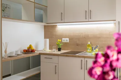1-Zimmer-Wohnung mieten in Wiener Neustadt – 30 m², € 626 – Bild 5 von 32