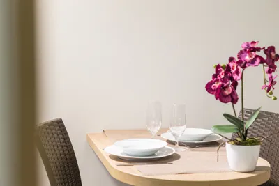 1-Zimmer-Wohnung mieten in Wiener Neustadt – 30 m², € 626 – Bild 11 von 32