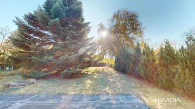 4-Zimmer-Haus kaufen in Sankt Pölten Land – 87,55 m², € 339.000 – Bild 5 von 56
