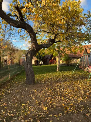 3-Zimmer-Haus mieten in Sankt Pölten Land – 78 m², € 1.100 – Bild 7 von 10