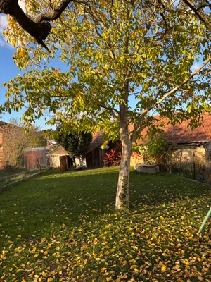 3-Zimmer-Haus mieten in Sankt Pölten Land – 78 m², € 1.100 – Bild 8 von 10