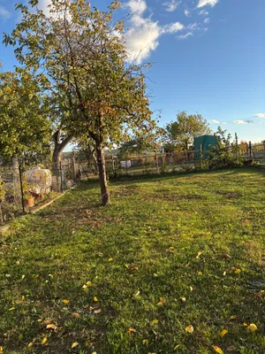3-Zimmer-Haus mieten in Sankt Pölten Land – 78 m², € 1.100 – Bild 5 von 10