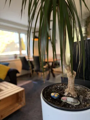 3-Zimmer-Wohnung kaufen in Innsbruck-Land – 59,97 m², € 375.000 – Bild 14 von 22