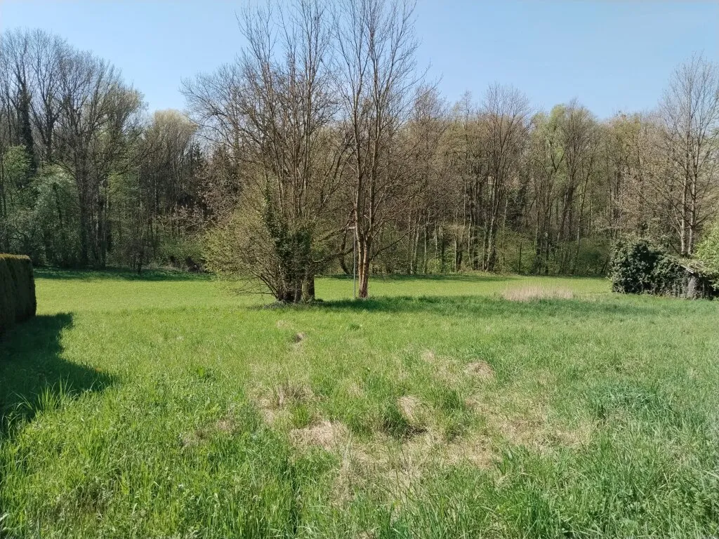 713 m² Baugrundstück in Wilhering mit Südwest-Ausrichtung - ohne Bauverpflichtung - Ansicht 3