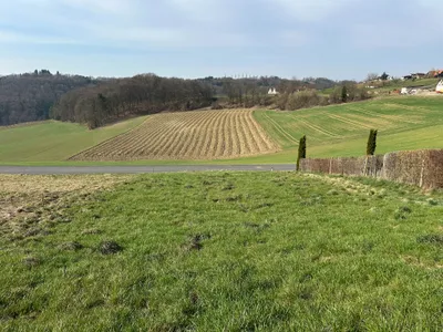 Grundstück kaufen in Südoststeiermark – 1 556 m², € 29.500 – Bild 3 von 8