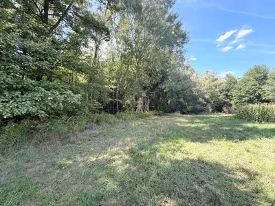 Grundstück kaufen in Weiz – 67 497 m², € 125.000 – Bild 4 von 8