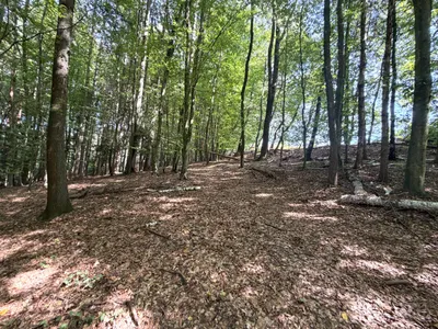 Grundstück kaufen in Weiz – 67 497 m², € 125.000 – Bild 7 von 8