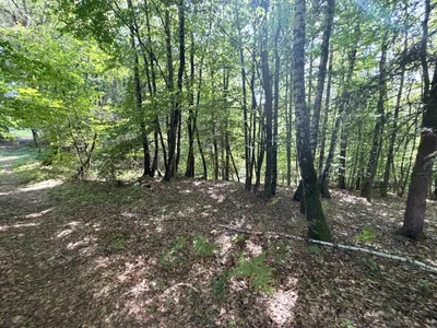 Grundstück kaufen in Weiz – 67 497 m², € 125.000 – Bild 6 von 8