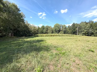Grundstück kaufen in Weiz – 67 497 m², € 125.000 – Bild 2 von 8