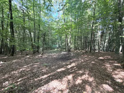 Grundstück kaufen in Weiz – 67 497 m², € 125.000 – Bild 8 von 8