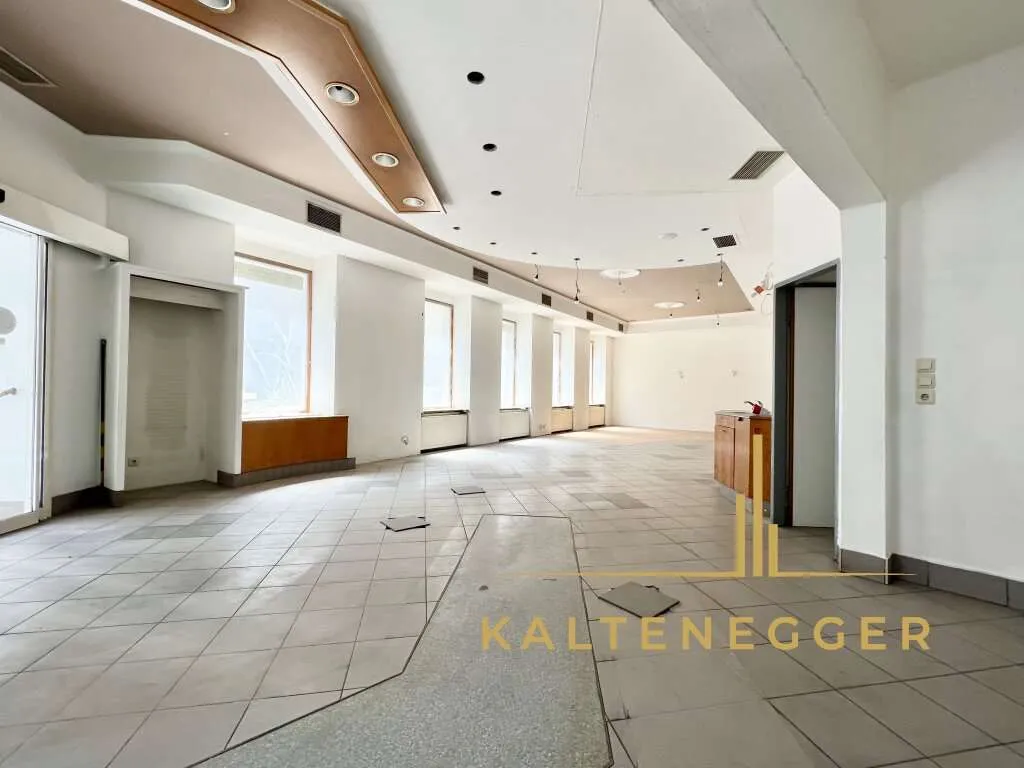 Gentzgasse: Geschäftslokal 119 m² / Keller 145m² - Ansicht 2
