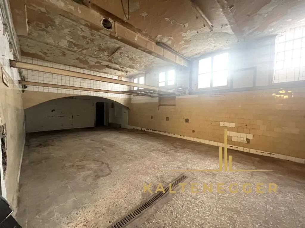 Gentzgasse: Geschäftslokal 119 m² / Keller 145m² - Ansicht 3