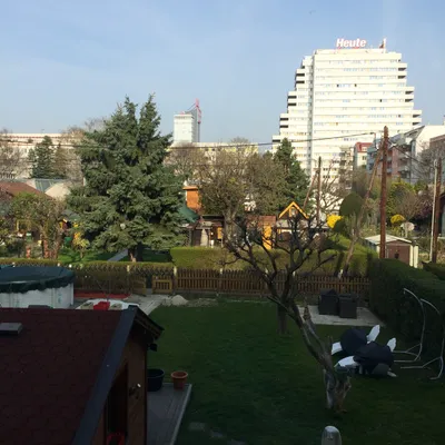 1-Zimmer-Wohnung mieten in Wien – 33 m², € 655 – Bild 4 von 4