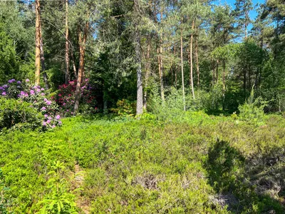 7-Zimmer-Haus kaufen in Salzburg-Umgebung – 300 m², € 998.000 – Bild 5 von 7