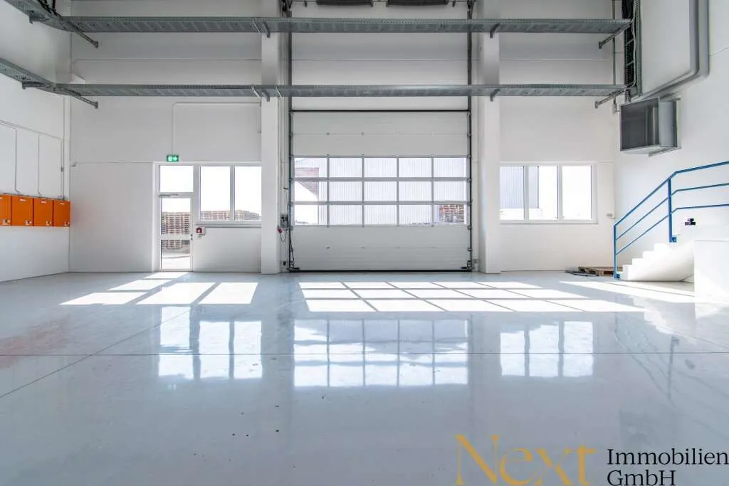 Gewerbehalle - Neubau - mit Kränen und optimaler Verkehrsanbindung in Marchtrenk zu vermieten! - View 2