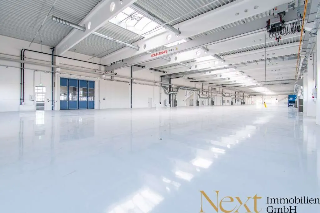 Gewerbehalle - Neubau - mit Kränen und optimaler Verkehrsanbindung in Marchtrenk zu vermieten! - View 3
