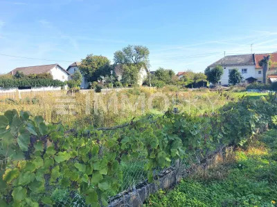 Grundstück zum Kauf in 4614 Wels-Land