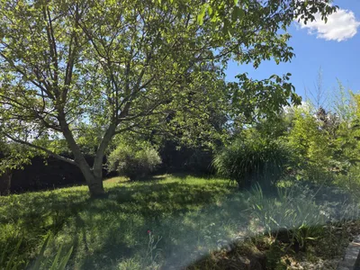 Grundstück kaufen in Graz-Umgebung – 1 150 m², € 218.500 – Bild 8 von 10