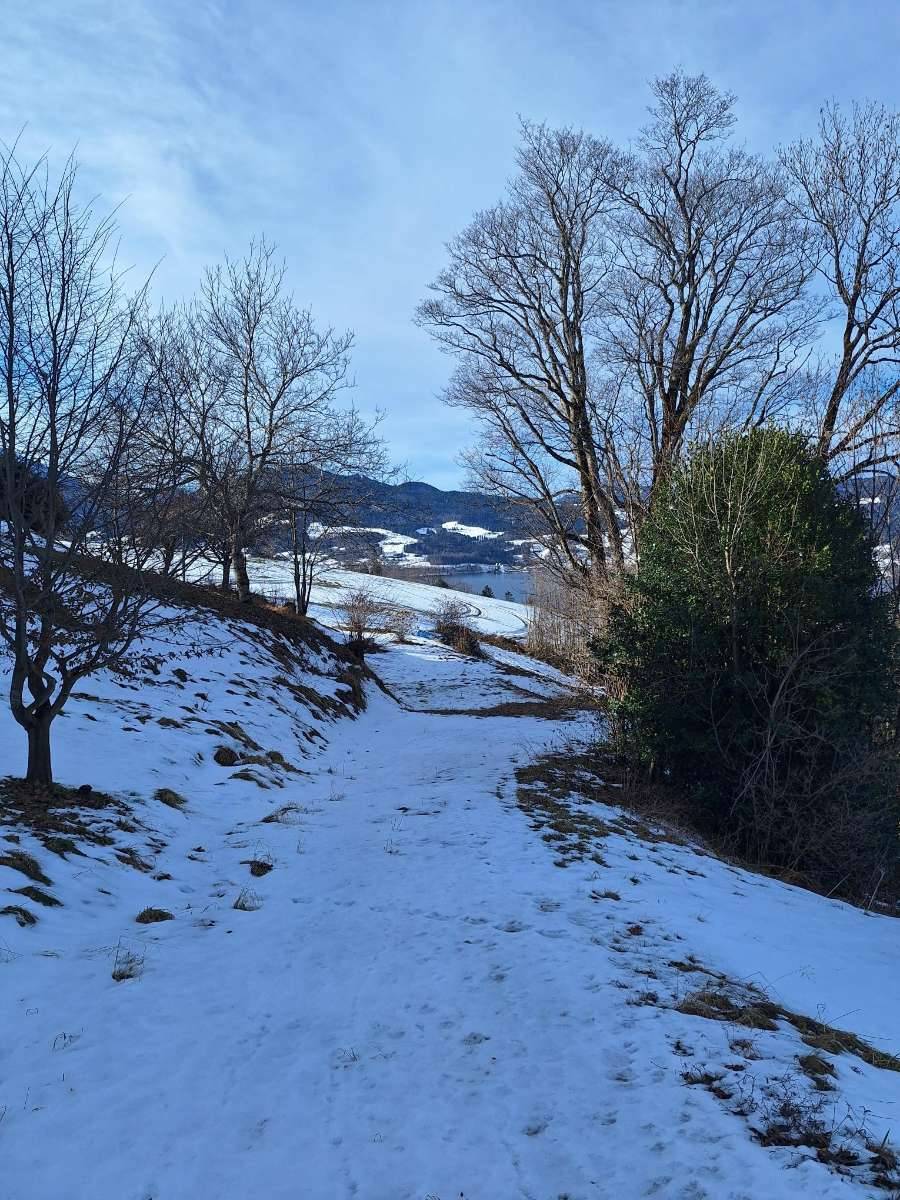 Wo der Attersee zum Nachbarn wird! Grundstück mit Seeblick in Steinbach am Attersee - Ansicht 3