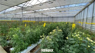 Gewerbeimmobilie kaufen in Vöcklabruck – 4 768 m², € 1.499.000 – Bild 6 von 22