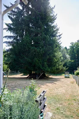 Grundstück kaufen in Sankt Pölten Land – 1 584 m², € 450.000 – Bild 10 von 18