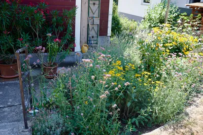 Grundstück kaufen in Sankt Pölten Land – 1 584 m², € 450.000 – Bild 5 von 18