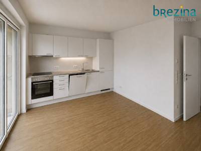Helle 2-Zimmer-Gartenwohnung mit Terrasse in ruhiger Lage – Bild 2