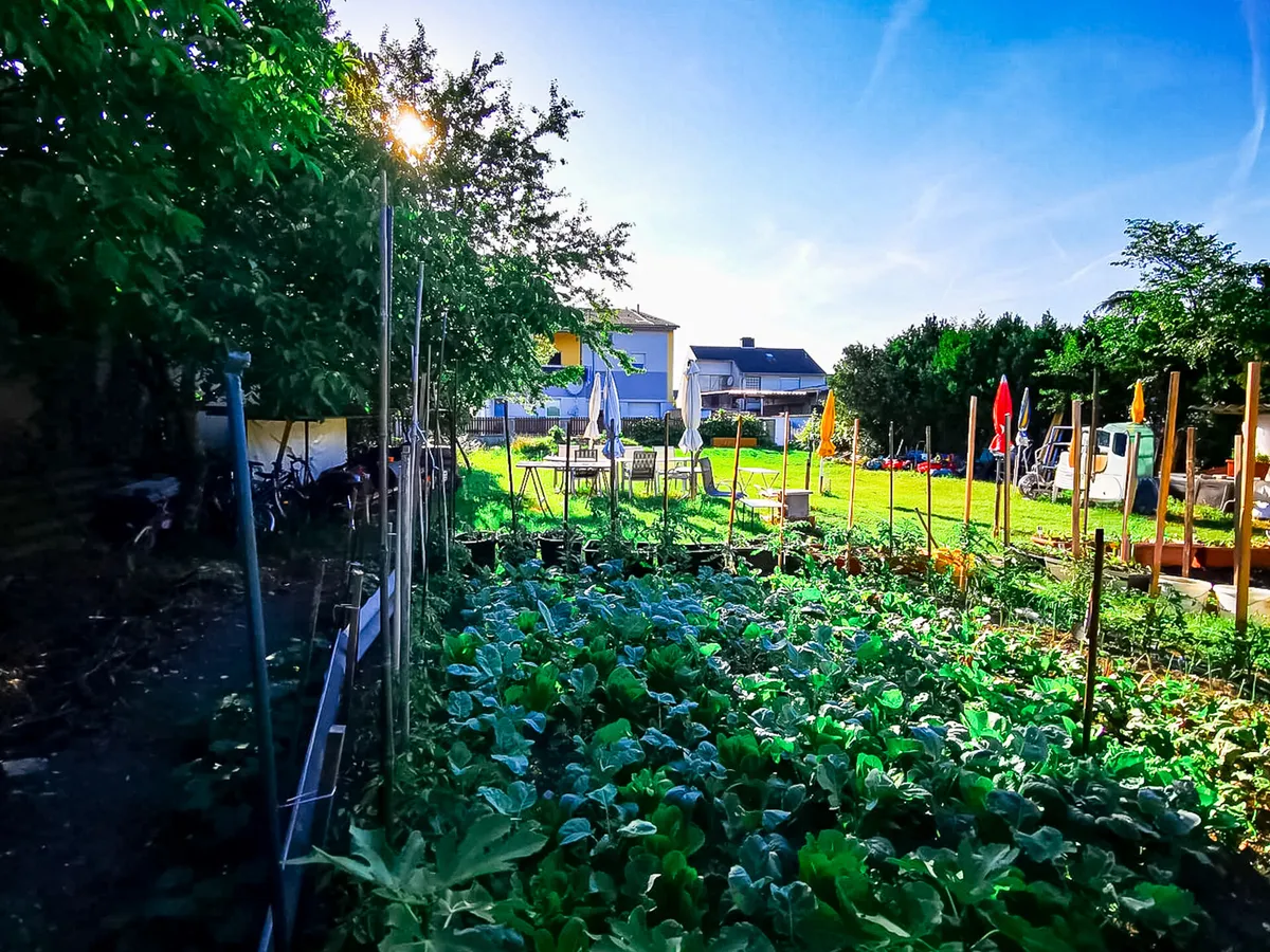 Sonniges Grundstück in Ruhelage! - Ansicht 2