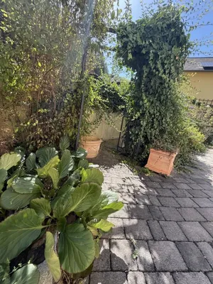 6-Zimmer-Haus kaufen in Krems Land – 155 m², € 495.000 – Bild 16 von 19