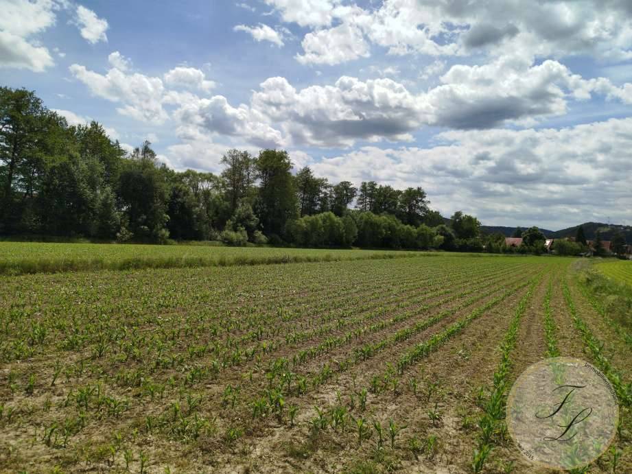 8200 Gleisdorf | Landwirtschaftliche Nutzfläche im örtlichen Bauentwicklungskonzept - Ansicht 3