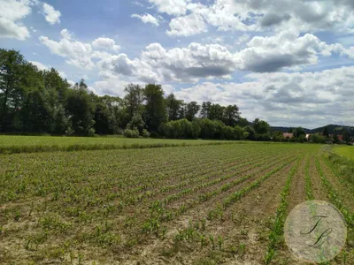 Grundstück kaufen in Weiz – 3 112 m², € 265.000 – Bild 3 von 4
