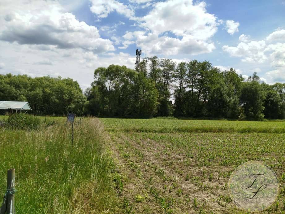 8200 Gleisdorf | Landwirtschaftliche Nutzfläche im örtlichen Bauentwicklungskonzept - Ansicht 2