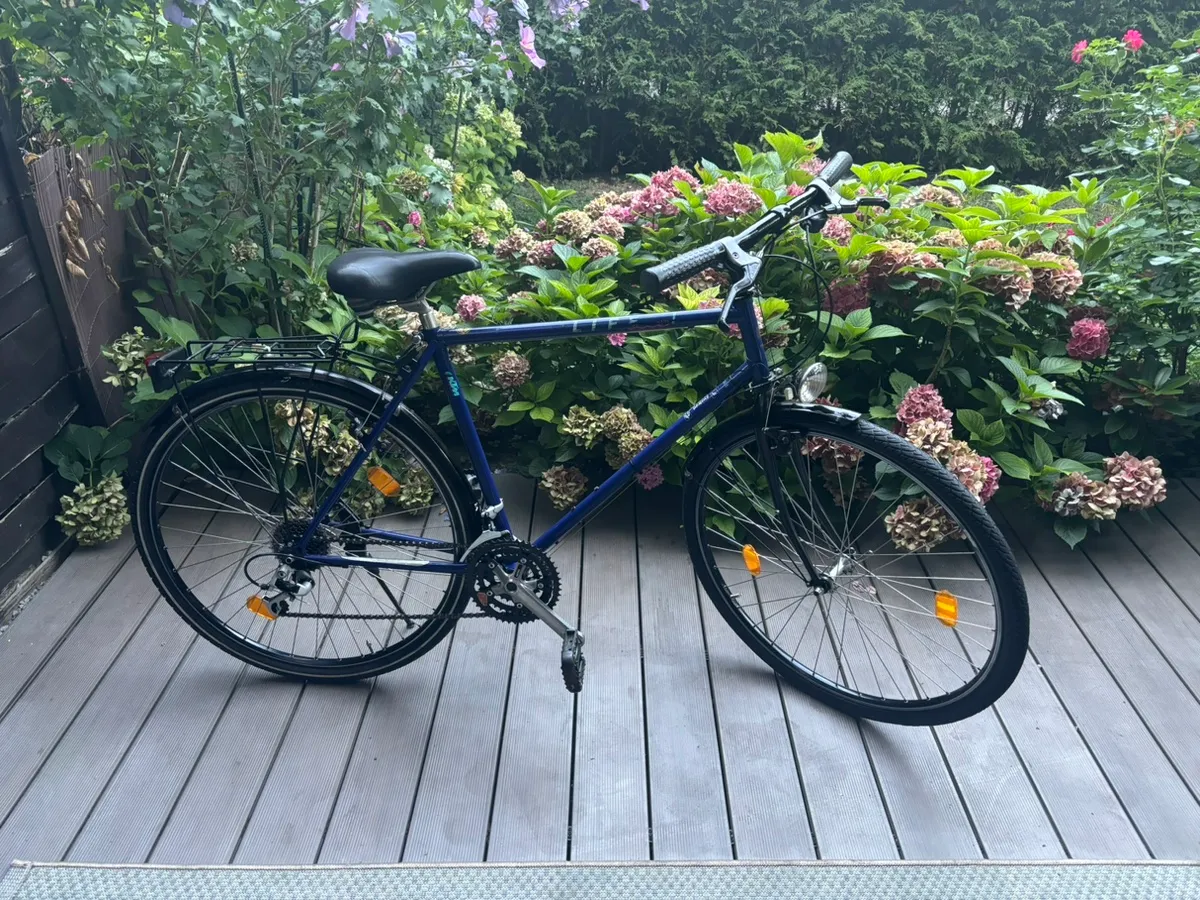puky fahrrad 12 zoll gebraucht Youke Classic Lion 