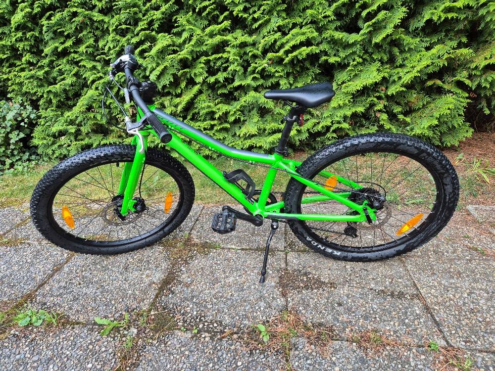 damenfahrrad mit nabenschaltung Velo de Ville AEB 490 - 500 Wh - 2024 - 28 Zoll