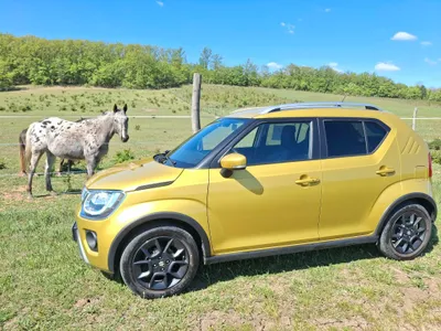 Suzuki Ignis