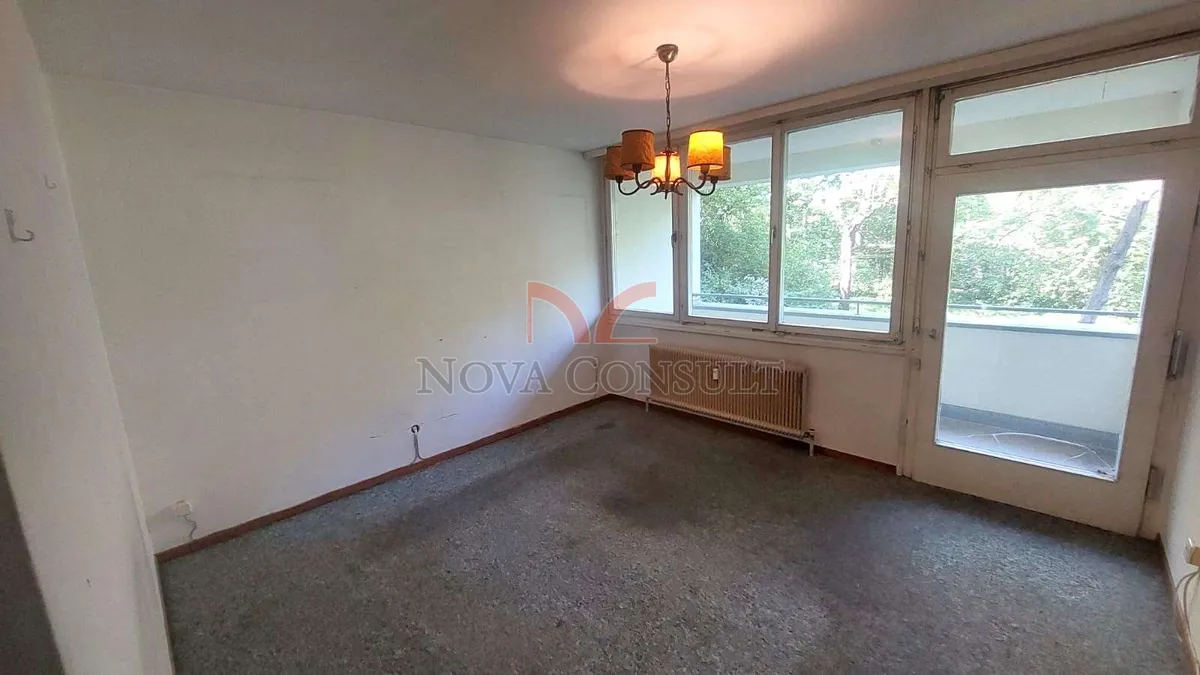 Geräumige 4-Zimmerwohnung im Erdgeschoß in absoluter Grünruhelage! - Ansicht 2