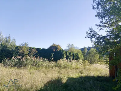 Grundstück mieten in Hallein – 616 m², € 352 – Bild 3 von 3