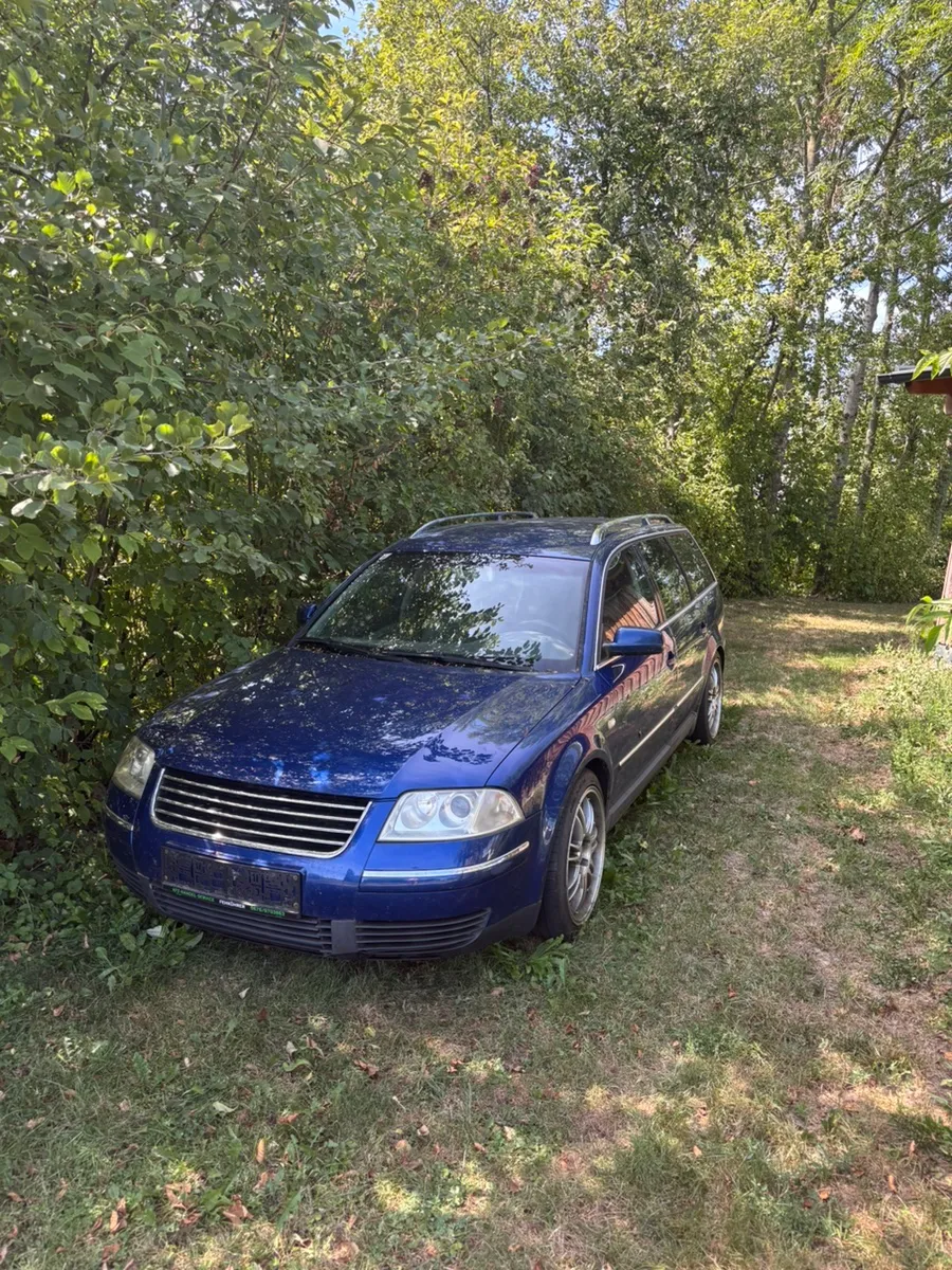 VW Passat