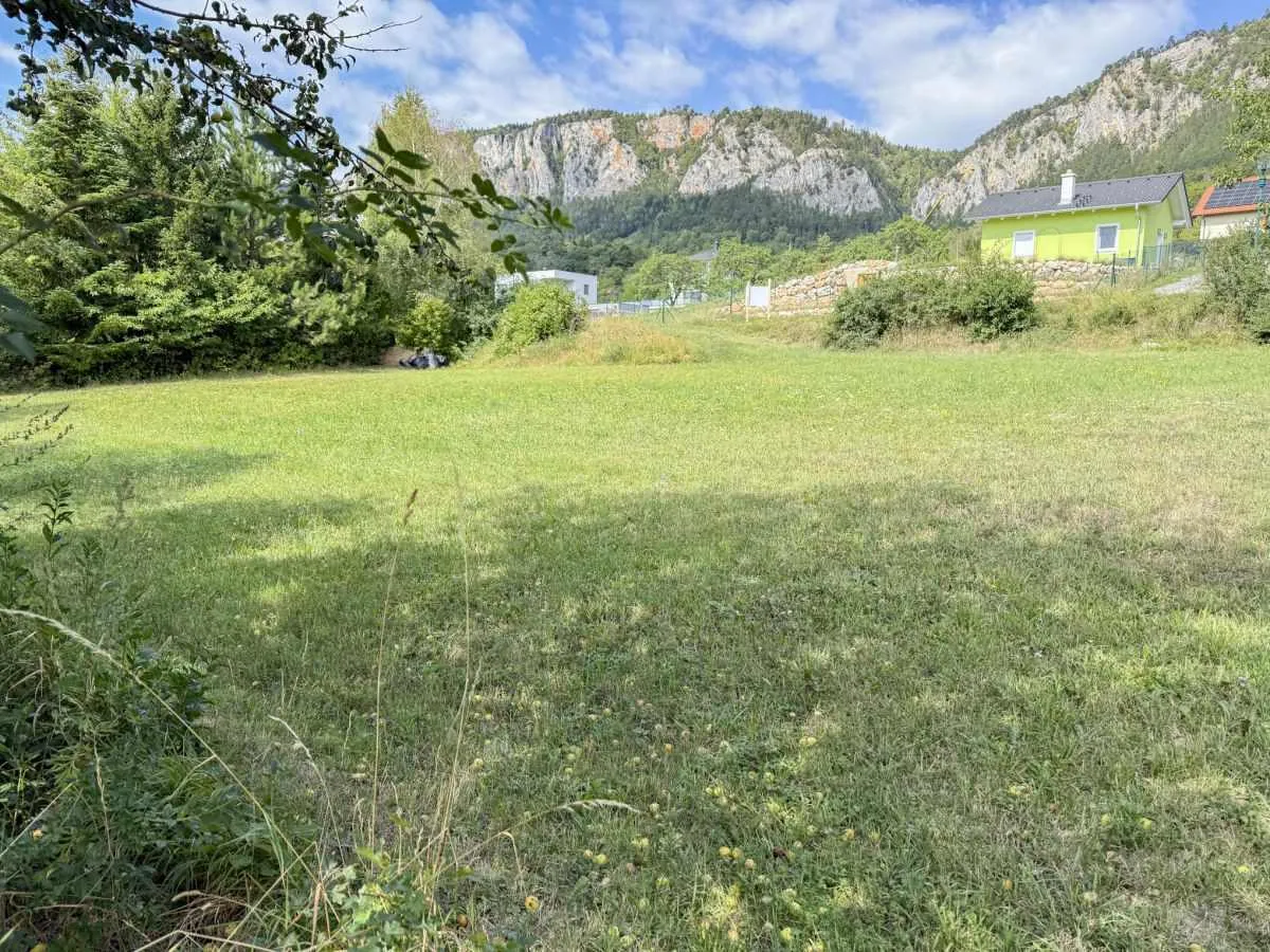 [06836] Großzügiges Grundstück in traumhafter Lage - Hohe Wand Blick - Ansicht 3