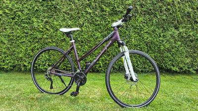 Damen Fahrrad Mountainbike kaufen - willhaben