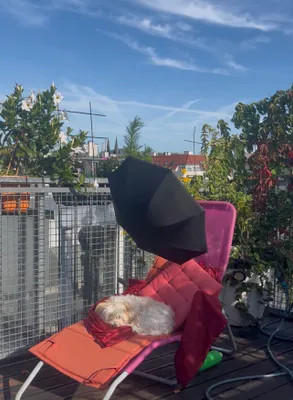 6-Zimmer-Wohnung kaufen in Wien – 145 m², € 1.150.000 – Bild 6 von 15